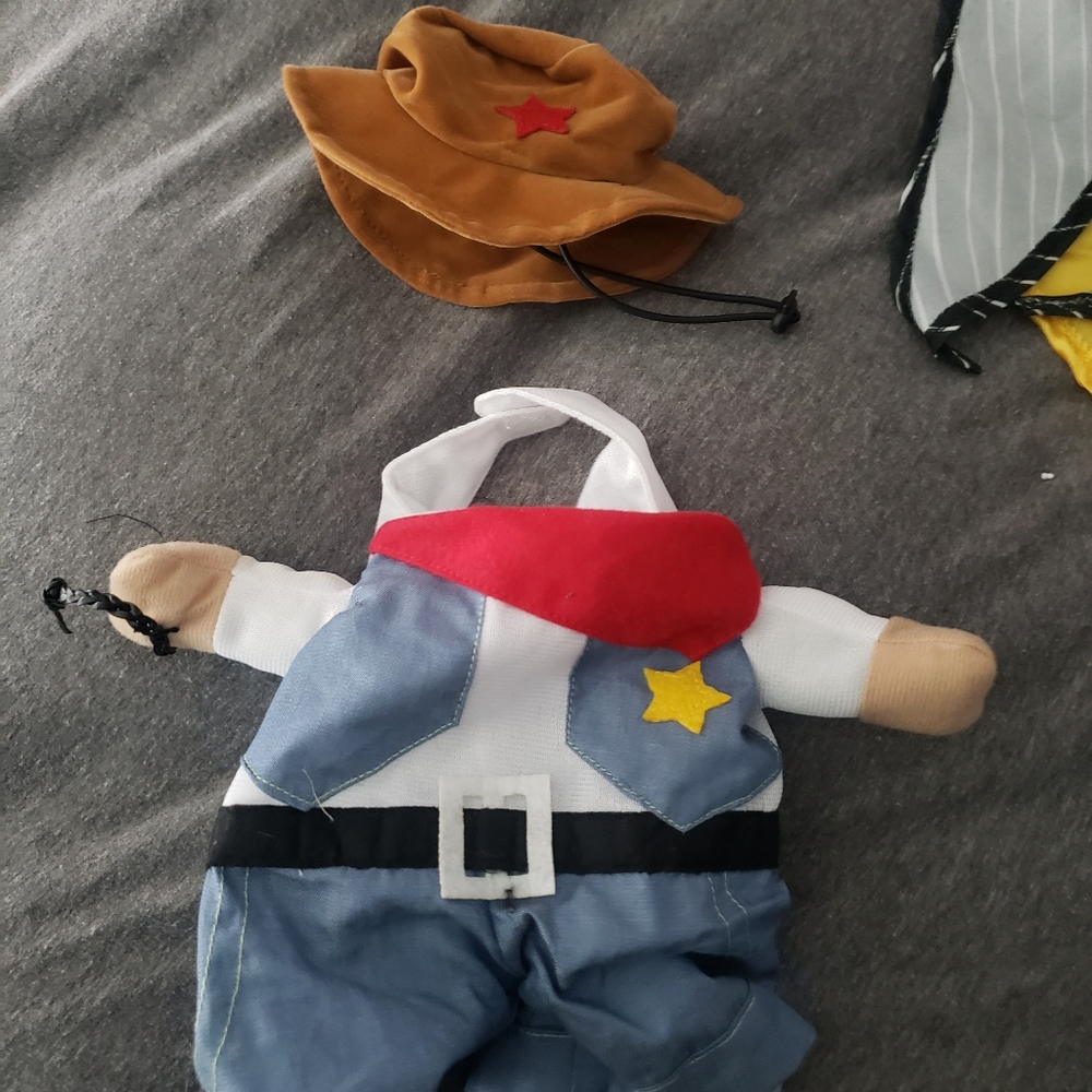 Cowboy, brand new dog costume